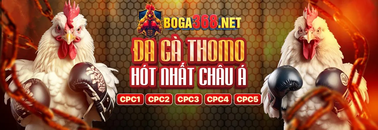 Hình ảnh đại diện dịch vụ hỗ trợ khách hàng wwin casino 24/7