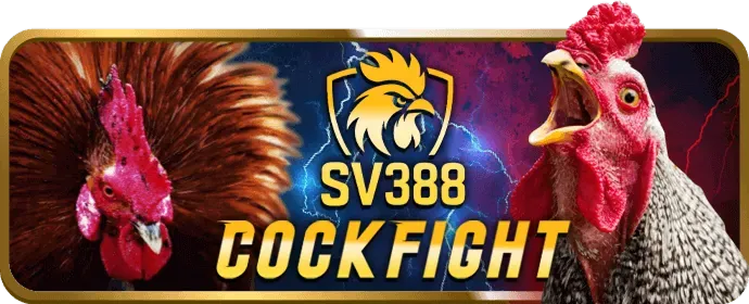 Hình ảnh minh họa việc wwin casino thu thập dữ liệu an toàn